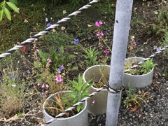 今日は雨