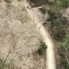 道