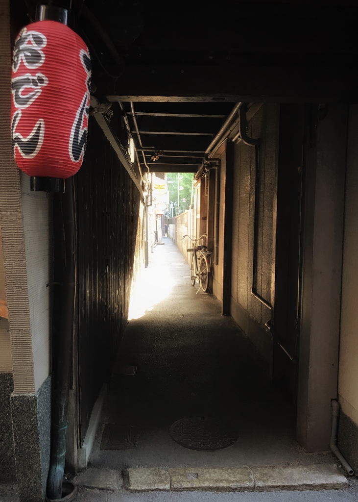 トンボのところ