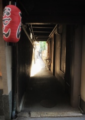 トンボのところ