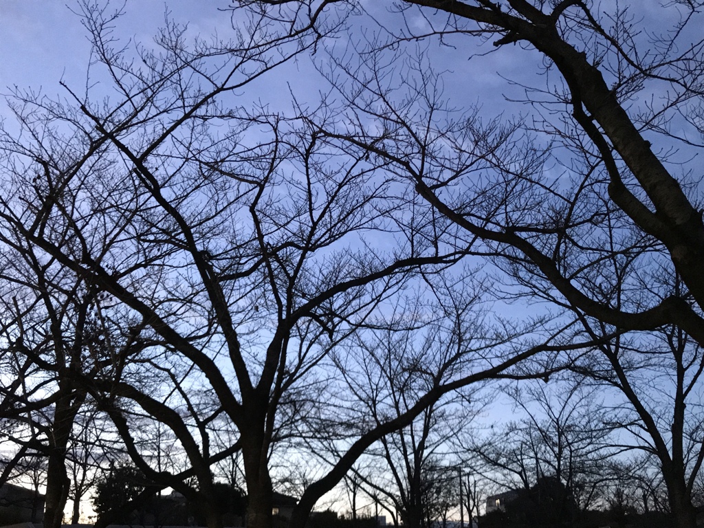 青い空