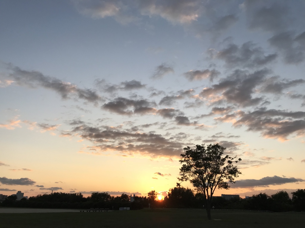 今日の夕日