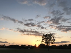 今日の夕日