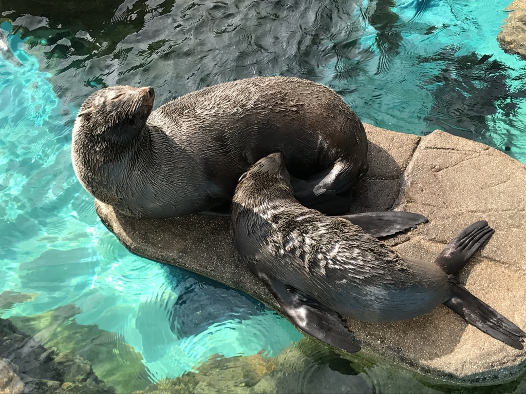 僕はチョコよりこっちの方が♡