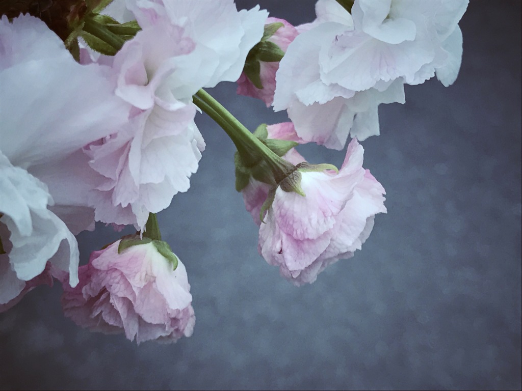 また明日…また…明日。