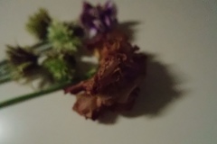 花殻摘み