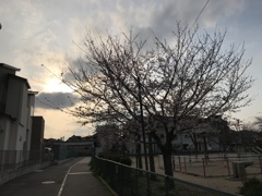 夕空