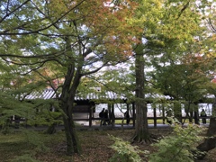 東福寺