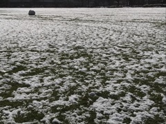 雪だま