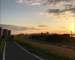 この道のずっと先は…
