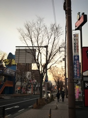 朝の空気の中で