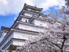 桜と城