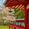 葉桜