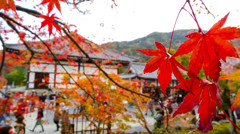 紅葉とお寺