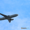 庭から７６７