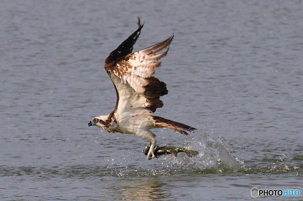 夕陽を浴びながら