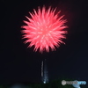 アート花火 HANABI2023　RED　