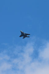 ミサゴに来客②F15
