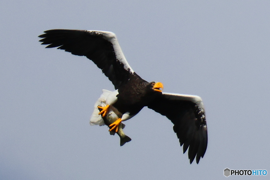 おばあちゃん2D4A1544