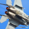 F15のお腹