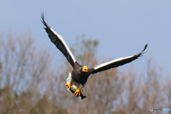 おばあちゃん2D4A1537