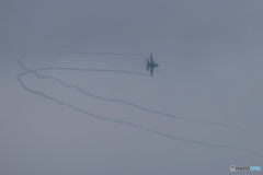 F2 2D4A1382