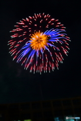 校庭に咲く夜空のひまわり