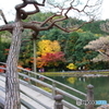 虎渓山紅葉　橋