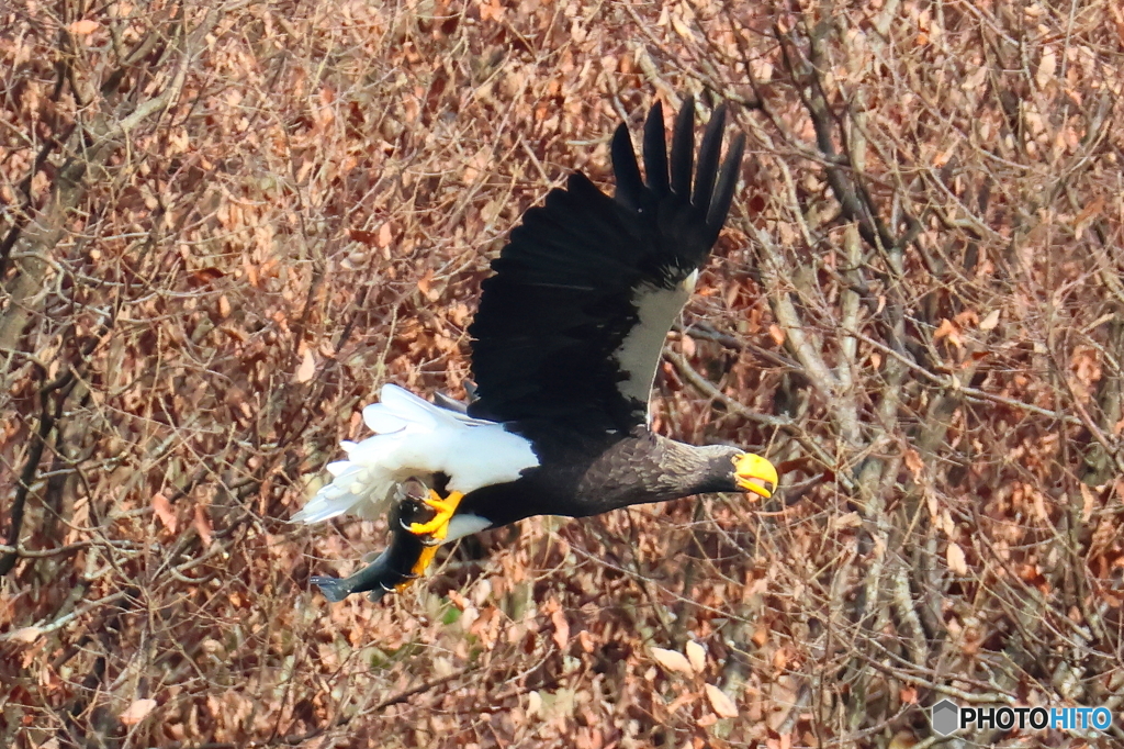 おばあちゃん2D4A1645