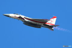 F15 801 D4A4019