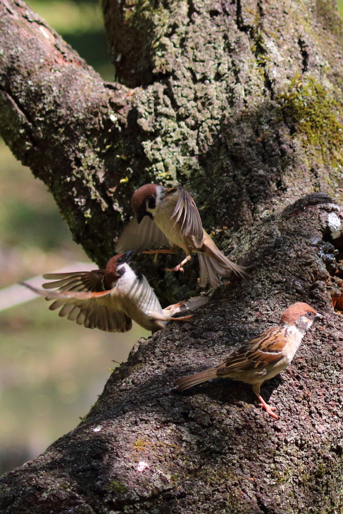 仲良くしないとね