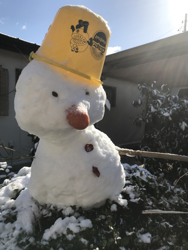 我が家のオラフ