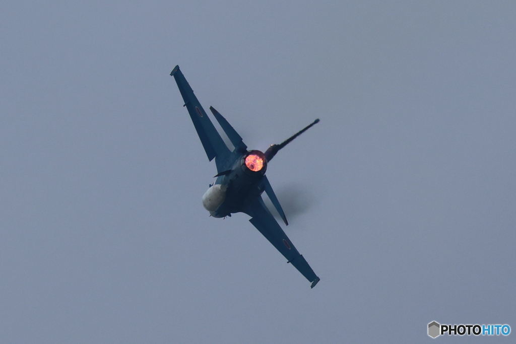 F2 2D4A1653