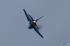 F2 2D4A1653
