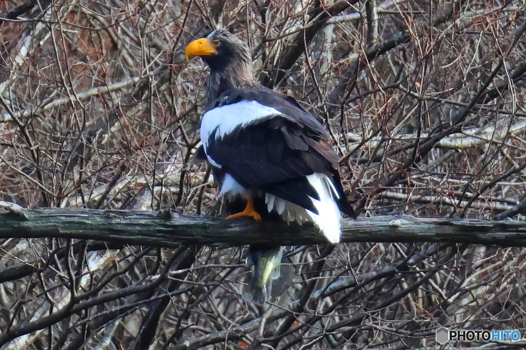 おばあちゃん2D4A2193