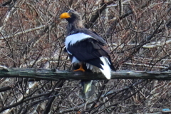 おばあちゃん2D4A2193