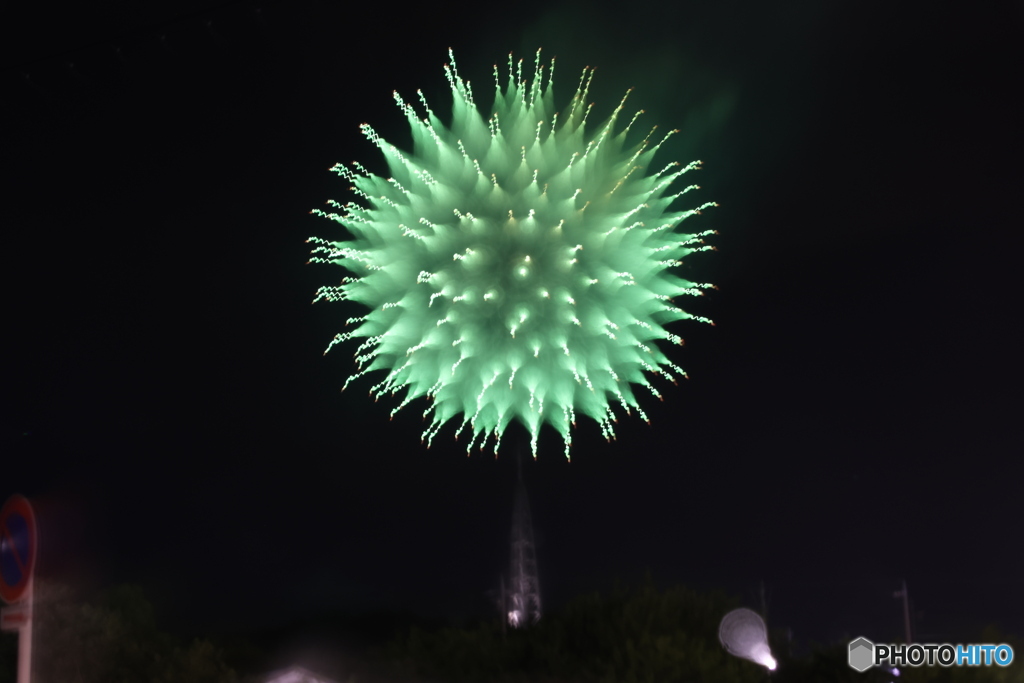 アート花火 HANABI2023　グリーン