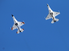 F2 おなかは白いんです　岐阜航空祭2015より