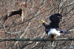 おばあちゃん2D4A2046