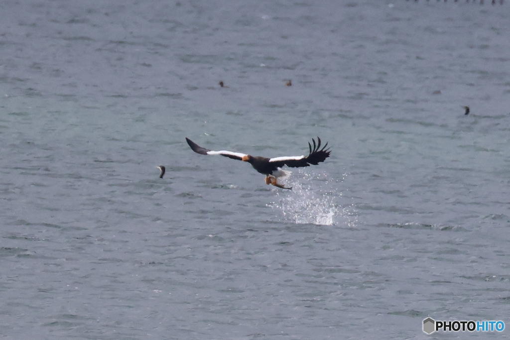 おばあちゃん2D4A1204