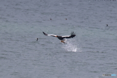 おばあちゃん2D4A1204