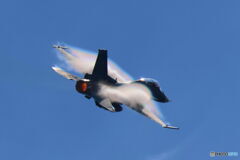 RF100-400 2D4A9334