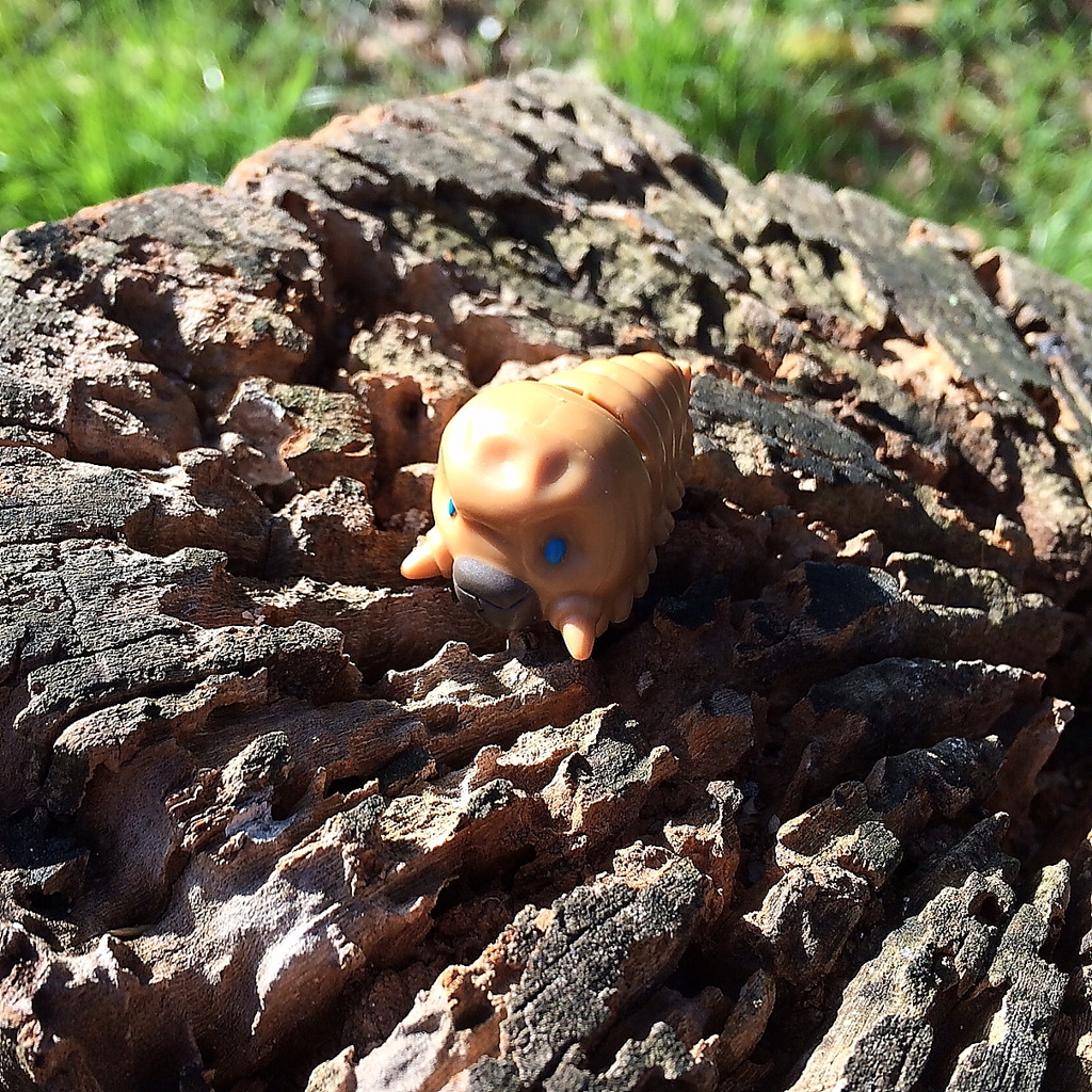 撮影の合間にモスラ