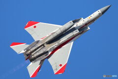 F15 801 2D4A3648