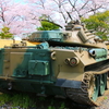 自衛隊桜まつり2015