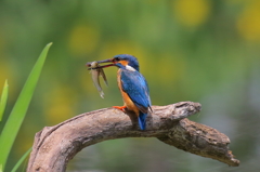待ってるわが子へ