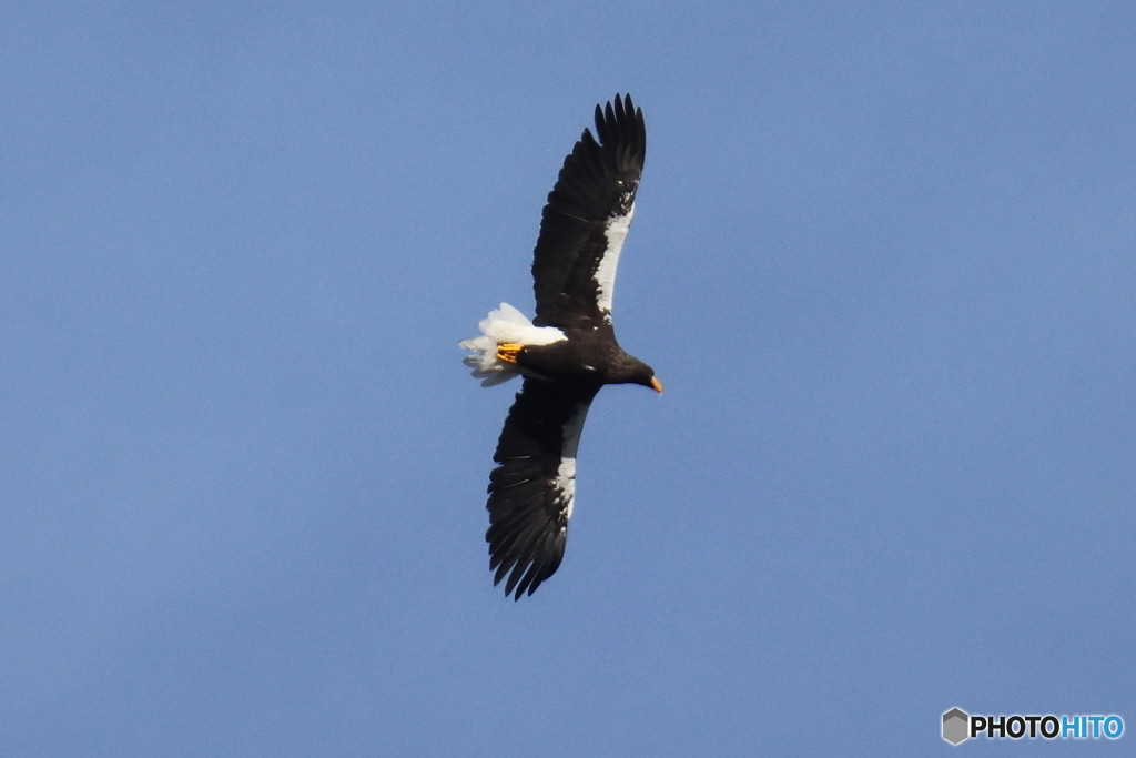 おばあちゃん29周年22D4A8229