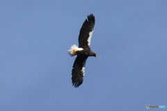 おばあちゃん29周年22D4A8229