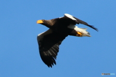 おばあちゃん29周年22D4A8456