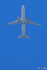 お空へGOGO!